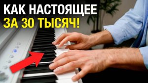 ВСЕ В ШОКЕ! Лучший Китаец 2025 года. Обзор цифрового пианино Beisite S-198 Pro Lite