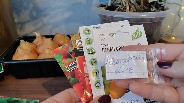 семена детерминантных томатов на 2025 год смотреть онлайн