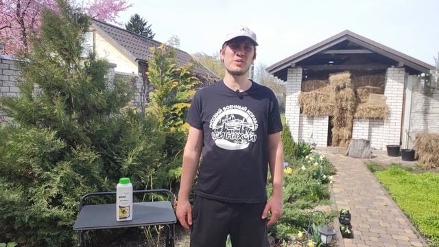 Хрущ або травневий жук. Як боротися з личинками хруща,