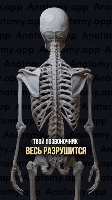 Пишите слово «Шоу», если хотите узнать как без операций избавиться от миомы, кисты и эндометриоза смотреть онлайн