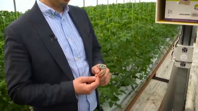 0225. НАУКА 2.0. БОЛЬШОЙ СКАЧОК. Теплицы 21-го века