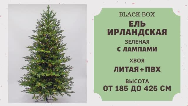 Black Box - ОБЗОР искусственной ели Ирландская зелёная с лампами смотреть онлайн