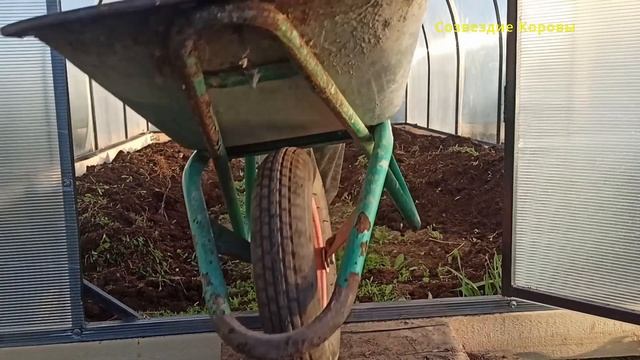 Теплица 2024. Новый сезон.