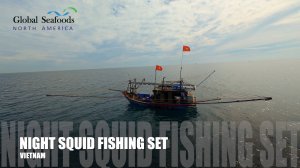 🌙 Ночная ловля кальмара во Вьетнаме, Ланг Ко | Традиционная лодка, снасти и огни (DJI Avata) 🦑🚤