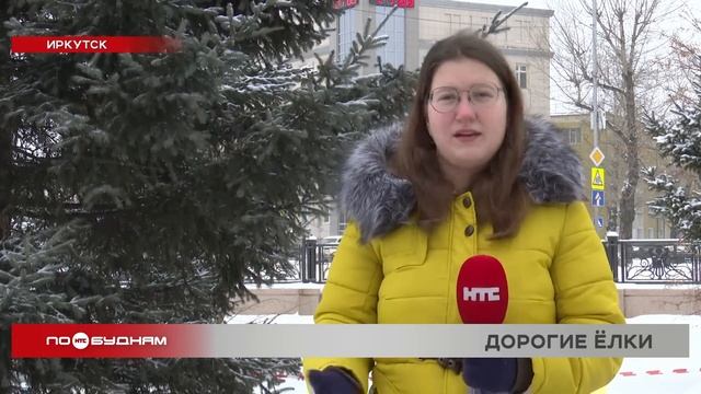 Цены на новогодние ёлки в Иркутской области растут, а ? смотреть онлайн