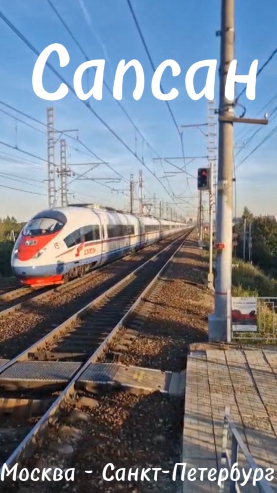 Сапсан, сообщение Москва Санкт-Петербург