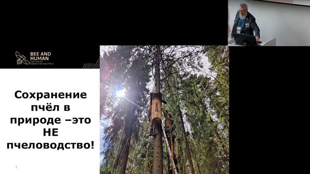 Пчела и Человек 2025. 3 секция. Докладчики: Бабанова, Пчел