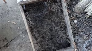 Недорогой качественный грунт для рассады своими рука?