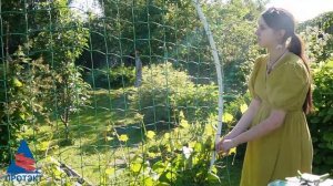 сетка для винограда