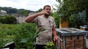 Гнездо заливают мёдом. Матке негде сеять. Главный взят