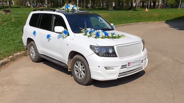 Обзор украшений бело-голубой большой куст