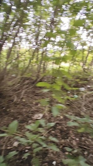 VID_20250821_170108