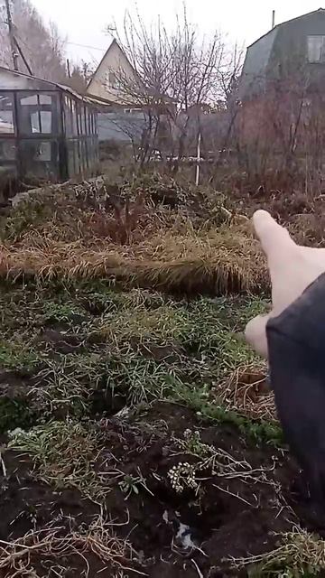 12.11.2023 Большая компостная яма.