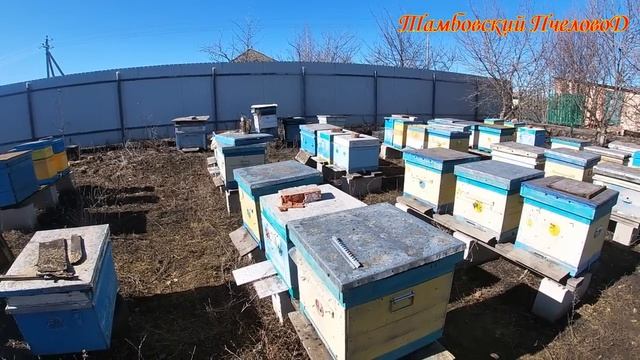 8 марта - Весенние работы на пасеке.