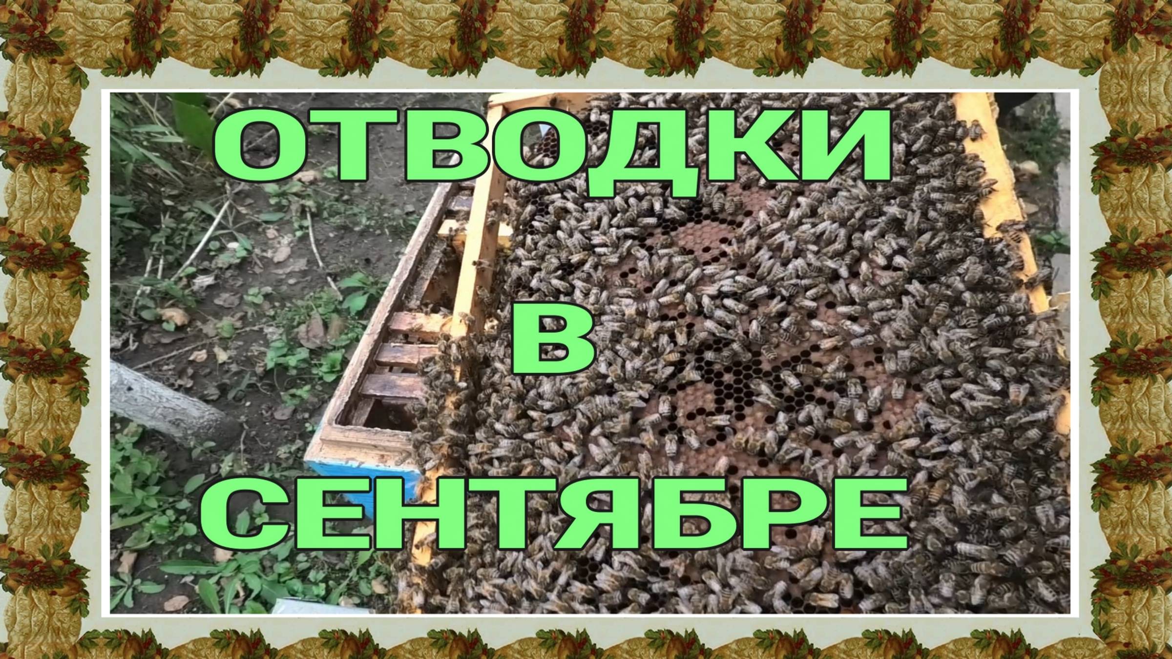 СОСТОЯНИЕ ОТВОДКОВ НА НАЧАЛО СЕНТЯБРЯ смотреть онлайн