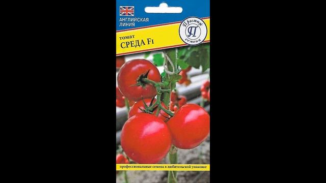 Самый лучший томат в мире 2023 г.! Высокоурожайный и слад смотреть онлайн