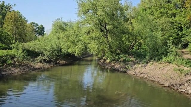 Лебеди моей Тосканы. Яблони, айва, боярышник, купырь, д? смотреть онлайн
