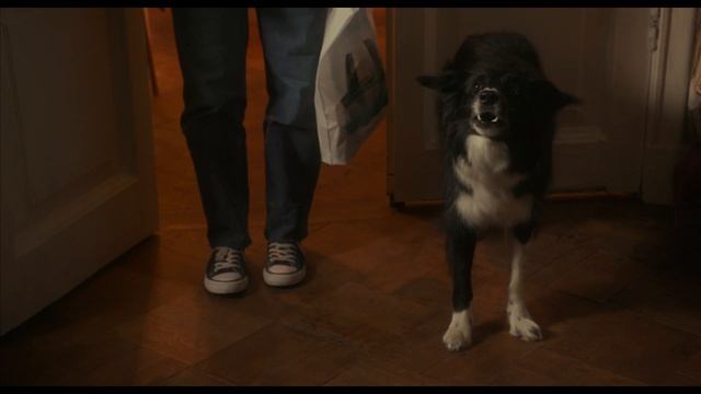 Двое в одной жизни - 2025 (09) смотреть онлайн