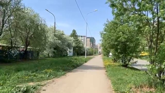 Красиво очень на Урале цветут яблони и черемуха смотреть онлайн