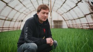 Выгонка зеленого лука на перо. Делюсь 20-летним опытом ?