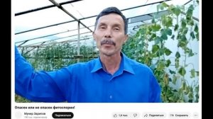 Кладоспориоз томатов в теплице Лечение фитоспорином