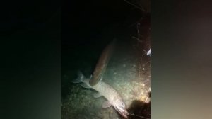 Что делать,  когда такое?