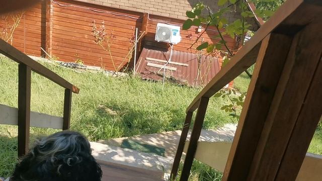 СОЧИ ГОРНОЕ ЛОО ДЕНЬ 10.09.2025 смотреть онлайн