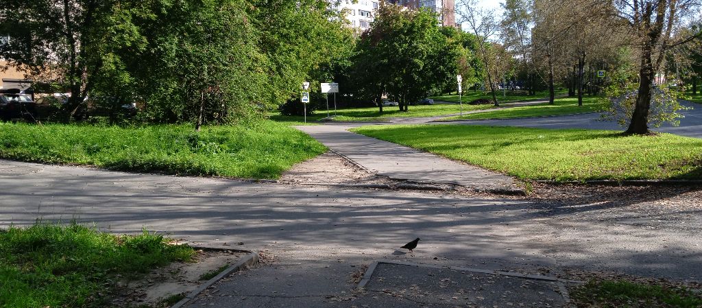 Череповец онлайн #город #прогулка #общение смотреть онлайн