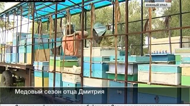 Священник-пчеловод. Россия-24. Южный Урал. 15 августа 2013 смотреть онлайн