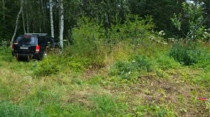 Результаты всех экспериментов и прививок в саду на ав?