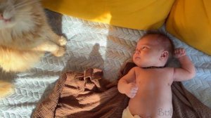 КОТЁНОК УСТРОИЛ СКАЧКИ В ЛЮЛЬКЕ / Обзор робот-пылесос 3i G10+