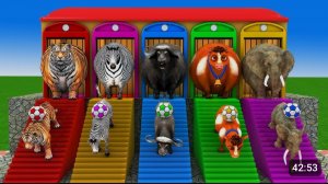 🔥Веселая игра 🔥Long Slide Game вместе с забавными животными! 🐯 🐮 🦓 🐘🦬