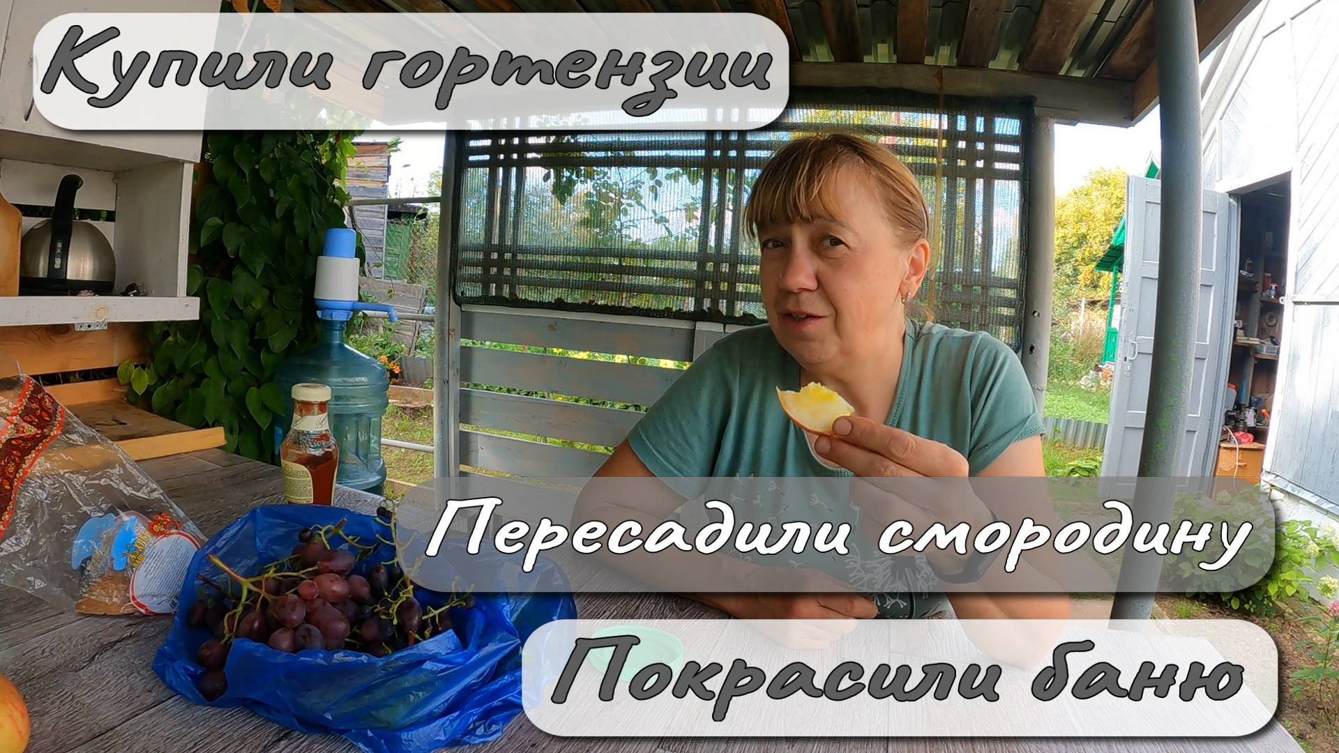 Купили гортензии Пересадили смородину Покрасили баню смотреть онлайн