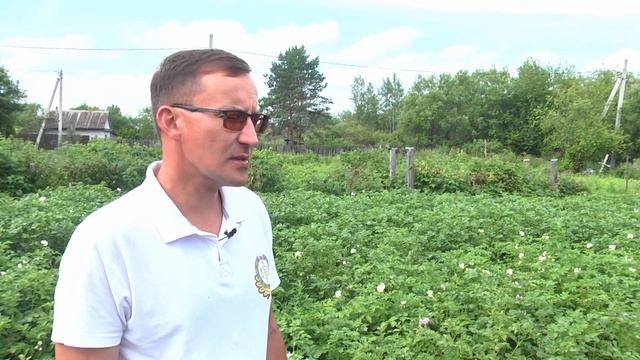 Эксперт рассказал корреспонденту «Города-24», как защи смотреть онлайн