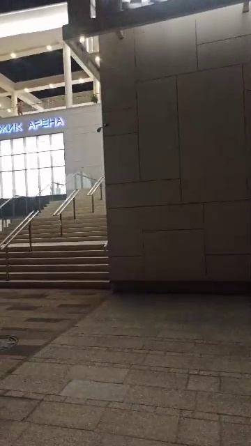 Дурдом хора Турецкого