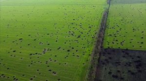 РАДИОПЕРЕХВАТ💥"ВСУ"💥