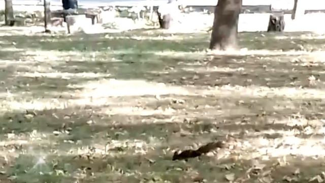 Мой Донецк 2025 год