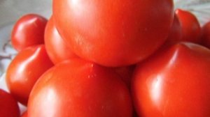 Помидоры сорта Любания F1 - просто красавцы