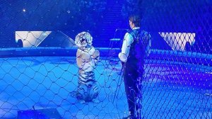 Запашные и тигр ❤Большой Московский Государственный Цирк