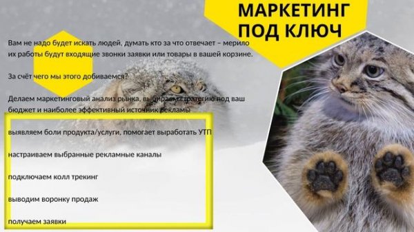Презентация MANUL