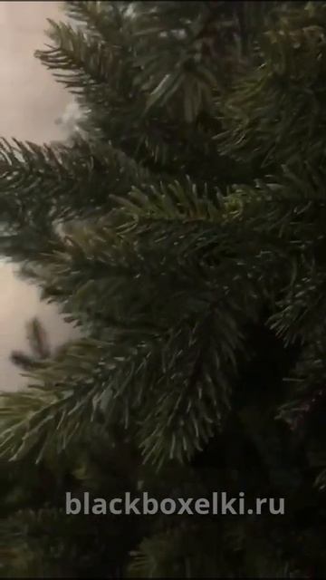 Искусственная сосна Black Box Датская - обзор смотреть онлайн