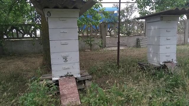 Сделал противороевой прием бывшему слабачку. смотреть онлайн