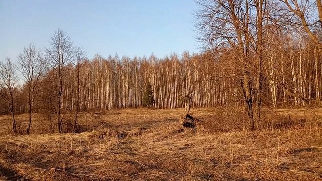 Солнечная полянка смотреть онлайн