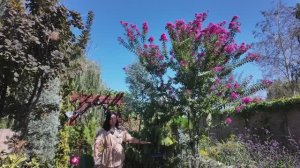 Сентябрь в южном саду! ОБЗОР САДА ! НЕВЕРОЯТНАЯ ДИНАМИКА РОСТА!