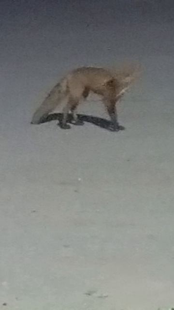 Кушать всем охота смотреть онлайн