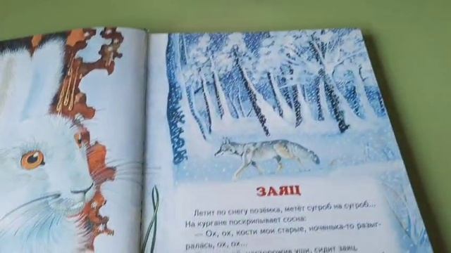 Читаем вместе с Мышкой Нюшей. Сказки дремучего леса смотреть онлайн