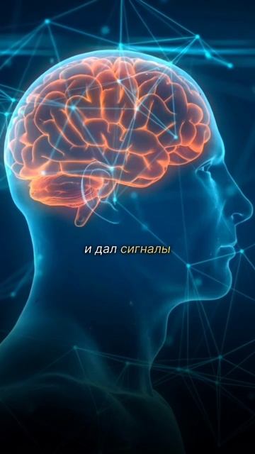 Стресс разрушает детский кишечник смотреть онлайн