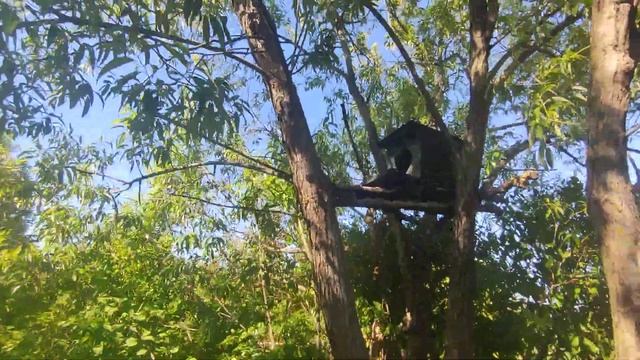 Проблема с прудом! Садовый пруд на участке, даче своим?
