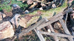 Аккумуляторная пила ProCraft PKA 42 Li
