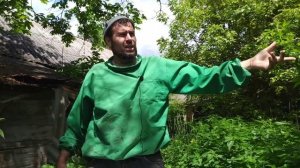 Слабые семьи пчел. Как нарастить на главный взяток. Чт?
